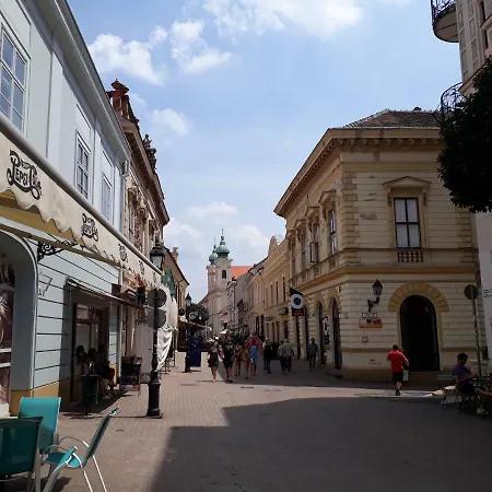 Sunny Center